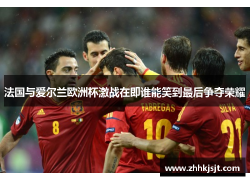 法国与爱尔兰欧洲杯激战在即谁能笑到最后争夺荣耀